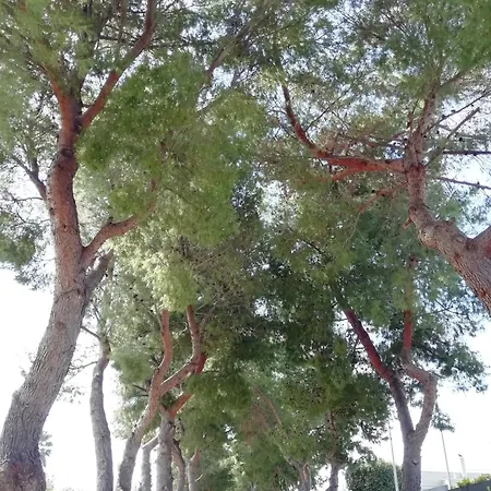 Casa Di Ospitalita Religiosa San Francesco D'assisi - Ba 호텔 *